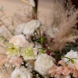 ルーキスの写真10枚目