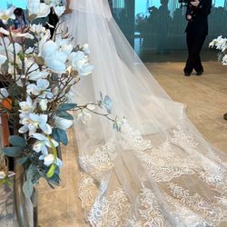 ルーキスの写真23枚目