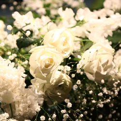 グランド ハイアット 東京の写真3枚目