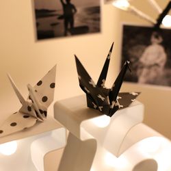 マリエール神水苑の写真23枚目