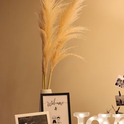 マリエール神水苑の写真3枚目