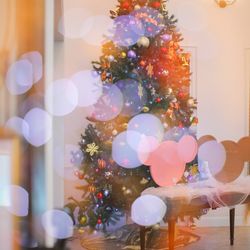 アルカンシエル ベリテ 大阪の写真2枚目