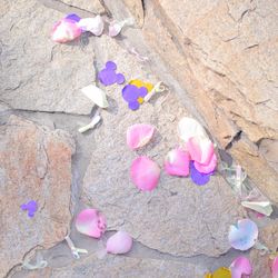 アルカンシエル ベリテ 大阪の写真12枚目