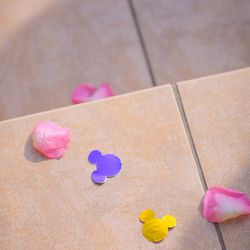 アルカンシエル ベリテ 大阪の写真7枚目