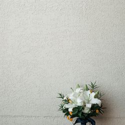 瀬良垣島教会の写真6枚目