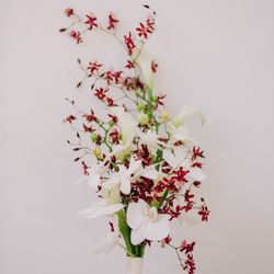 ザ ナンザンハウスの写真23枚目