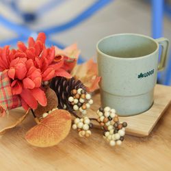 ララシャンス 博多の森の写真19枚目