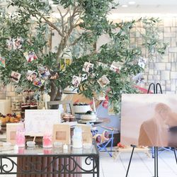 ララシャンス 博多の森の写真13枚目