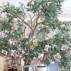 ララシャンス 博多の森の写真29枚目