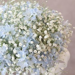 ララシャンス 博多の森の写真23枚目