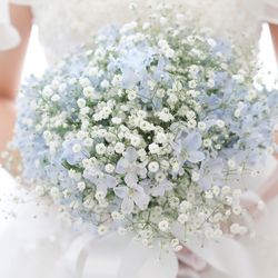 ララシャンス 博多の森の写真11枚目