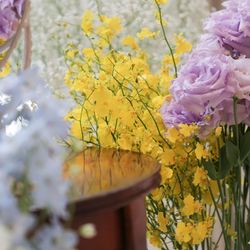 ララシャンス 博多の森の写真16枚目