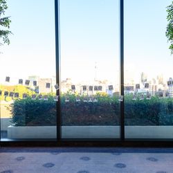 ルーキスの写真5枚目