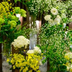 ルーキスの写真4枚目