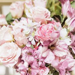 ルーキスの写真15枚目