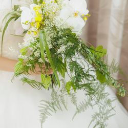 ルーキスの写真4枚目