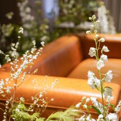 TRUNK HOTELの写真32枚目