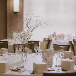 ルーキスの写真33枚目