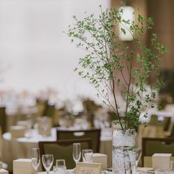 ルーキスの写真19枚目