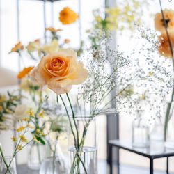 SOLA KOBEの写真25枚目