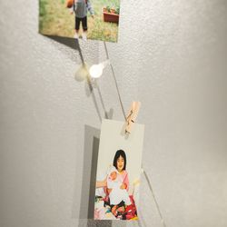 L2126の写真23枚目