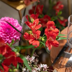 L2126の写真24枚目