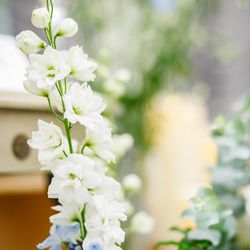 Hilltop Resort YAMANOUEの写真17枚目