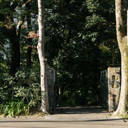 ザ ナンザンハウスの写真25枚目