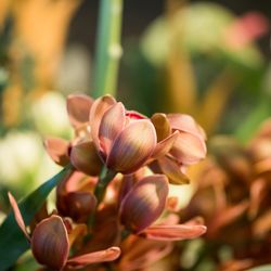 ザ ナンザンハウスの写真36枚目