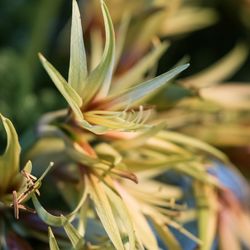 ザ ナンザンハウスの写真28枚目