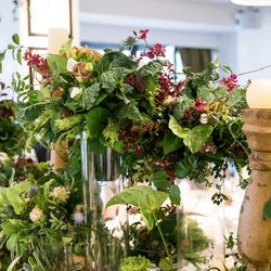 ザ ナンザンハウスの写真6枚目