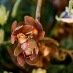 ザ ナンザンハウスの写真22枚目