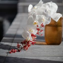 SOLA KOBEの写真17枚目