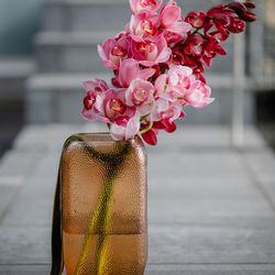 SOLA KOBEの写真15枚目