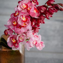 SOLA KOBEの写真30枚目