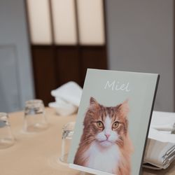 The Place of Tokyoの写真20枚目