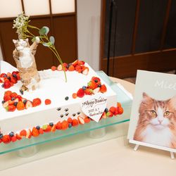 The Place of Tokyoの写真33枚目