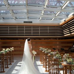 The Place of Tokyoの写真12枚目