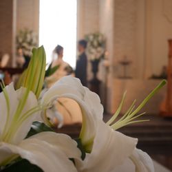 ウエディングヒルズ アジュールの写真15枚目