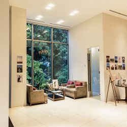 辻家庭園 の写真15枚目