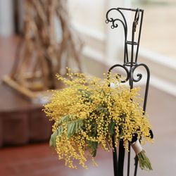 ララシャンス 博多の森の写真34枚目