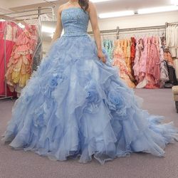 プリマディーバの写真24枚目