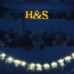 プリマディーバの写真7枚目