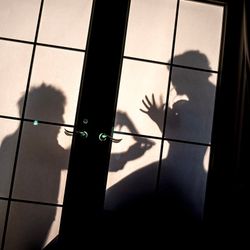 プリマディーバの写真22枚目