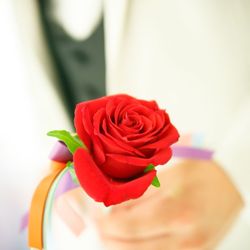 アルマリアン 福岡の写真20枚目