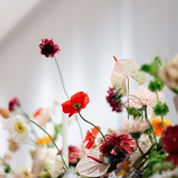 SOLA KOBEの写真6枚目