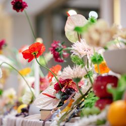 SOLA KOBEの写真6枚目