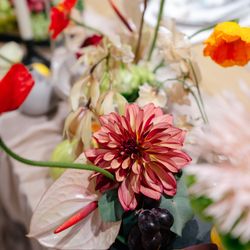 SOLA KOBEの写真28枚目