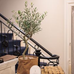 アーカンジェル代官山の写真24枚目