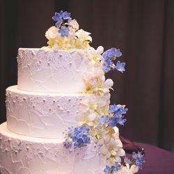 コンラッド大阪の写真35枚目